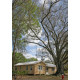 Cottage 1 - Quercus